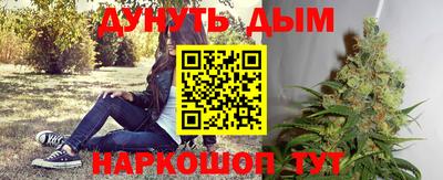 молекула духа Дубна