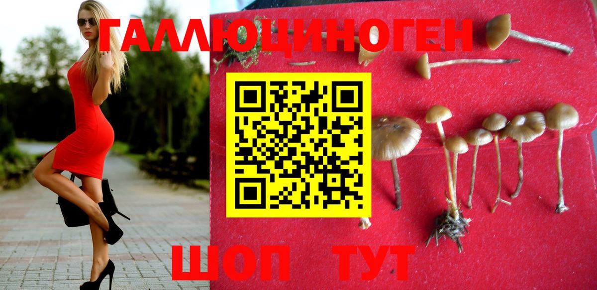 Галлюциногенные грибы GOLDEN TEACHER  Галлюциногенные грибы Magic Shrooms  Грязи  Вход с VPN 